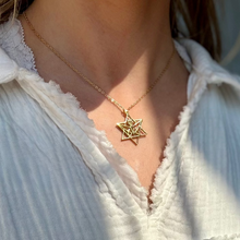 Load image into Gallery viewer, The Star of David Monarch Necklace